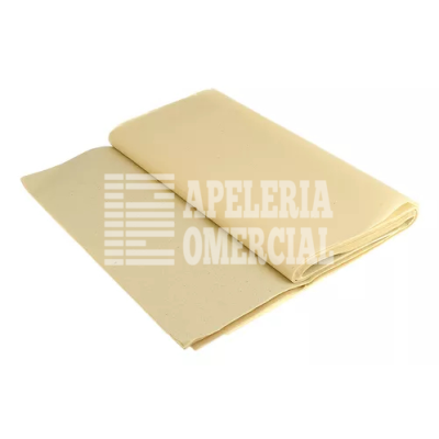 PAPEL CHINA COLOR C/100 BEIGE 